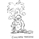Coolness-Training